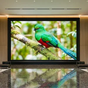 P1.25 indoor led display screen