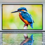 P1.86 Indoor LED Display Price in Bangladesh