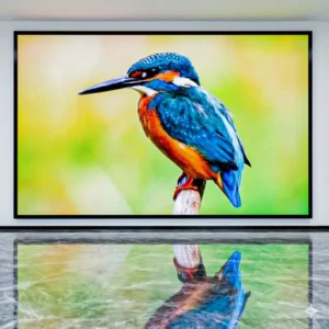 P1.86 Indoor LED Display Price in Bangladesh