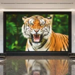 P1.53 Indoor LED Display Board