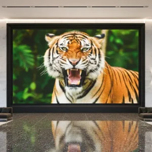 P1.53 Indoor LED Display Board